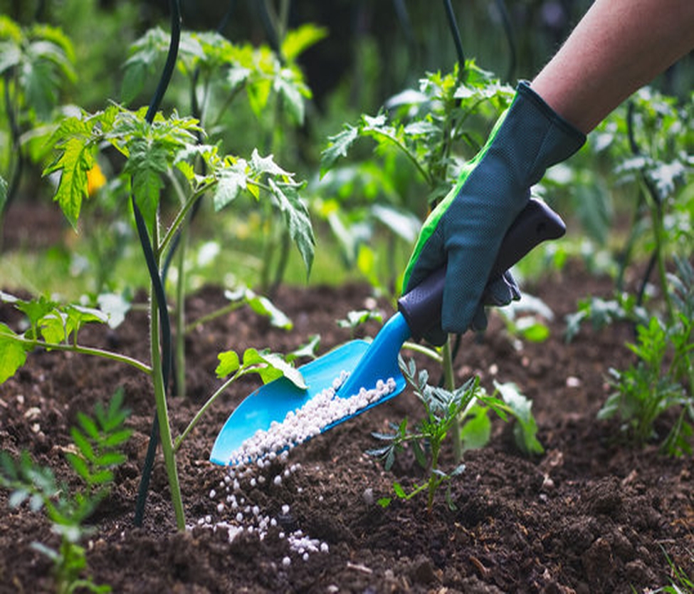 fertilizer_spread_975x834